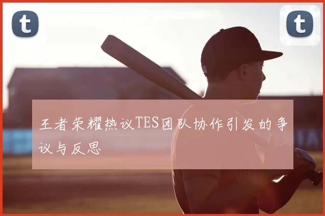 王者荣耀热议TES团队协作引发的争议与反思