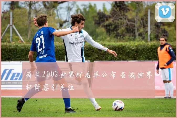 荷兰2002世界杯名单公布 备战世界杯阵容引关注