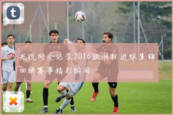 央视网全记录2016欧洲杯进球集锦回顾赛事精彩瞬间