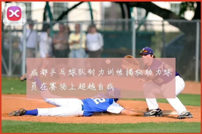 成都乒乓球队耐力训练揭秘助力球员在赛场上超越自我