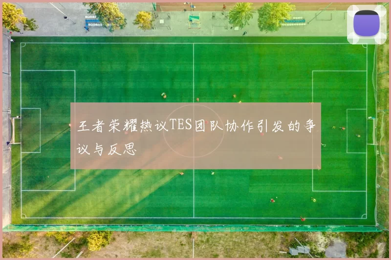 王者荣耀热议TES团队协作引发的争议与反思