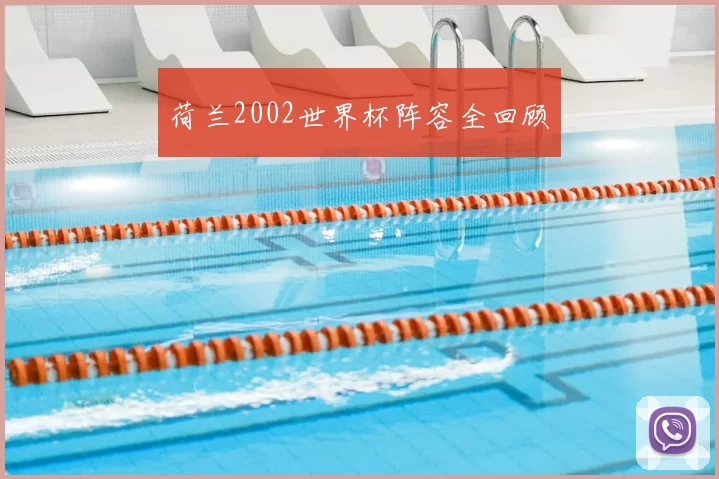 荷兰2002世界杯阵容全回顾