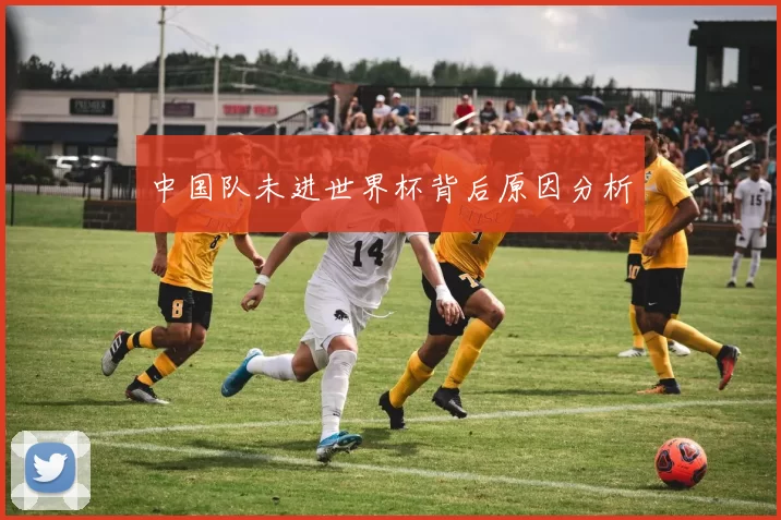 中国队未进世界杯背后原因分析