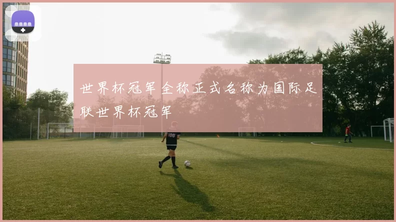 世界杯冠军全称正式名称为国际足联世界杯冠军