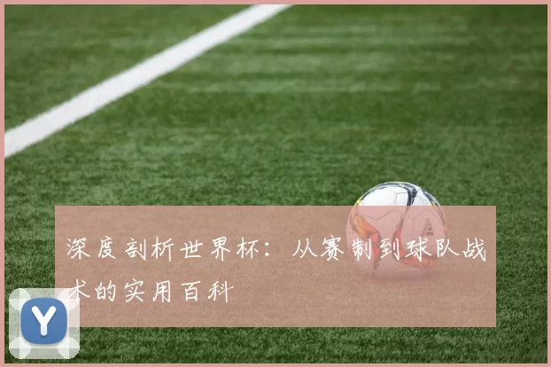 深度剖析世界杯:从赛制到球队战术的实用百科