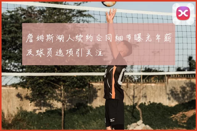 詹姆斯湖人续约合同细节曝光年薪及球员选项引关注