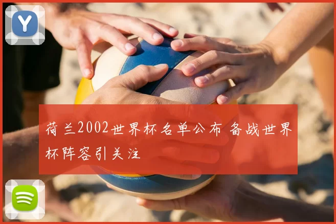 荷兰2002世界杯名单公布 备战世界杯阵容引关注