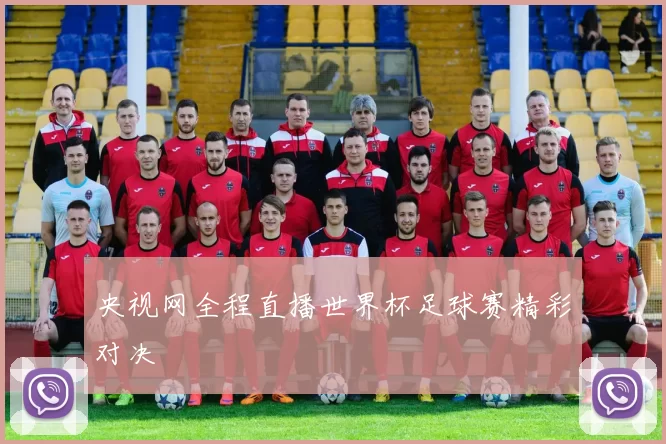 央视网全程直播世界杯足球赛精彩对决
