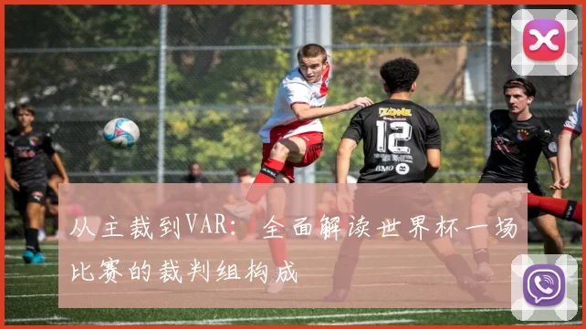 从主裁到VAR：全面解读世界杯一场比赛的裁判组构成