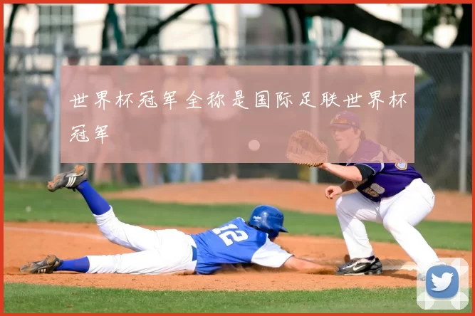 世界杯冠军全称是国际足联世界杯冠军