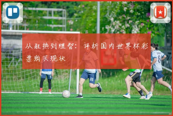 从狂热到理智:评析国内世界杯彩票购买现状