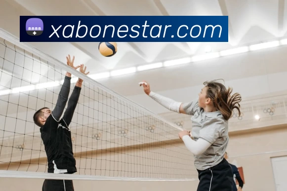 pg电子APP 高清赛事图